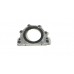 Flange Retentor Virabrequim C4 Cactus 1.6 2021 D1646